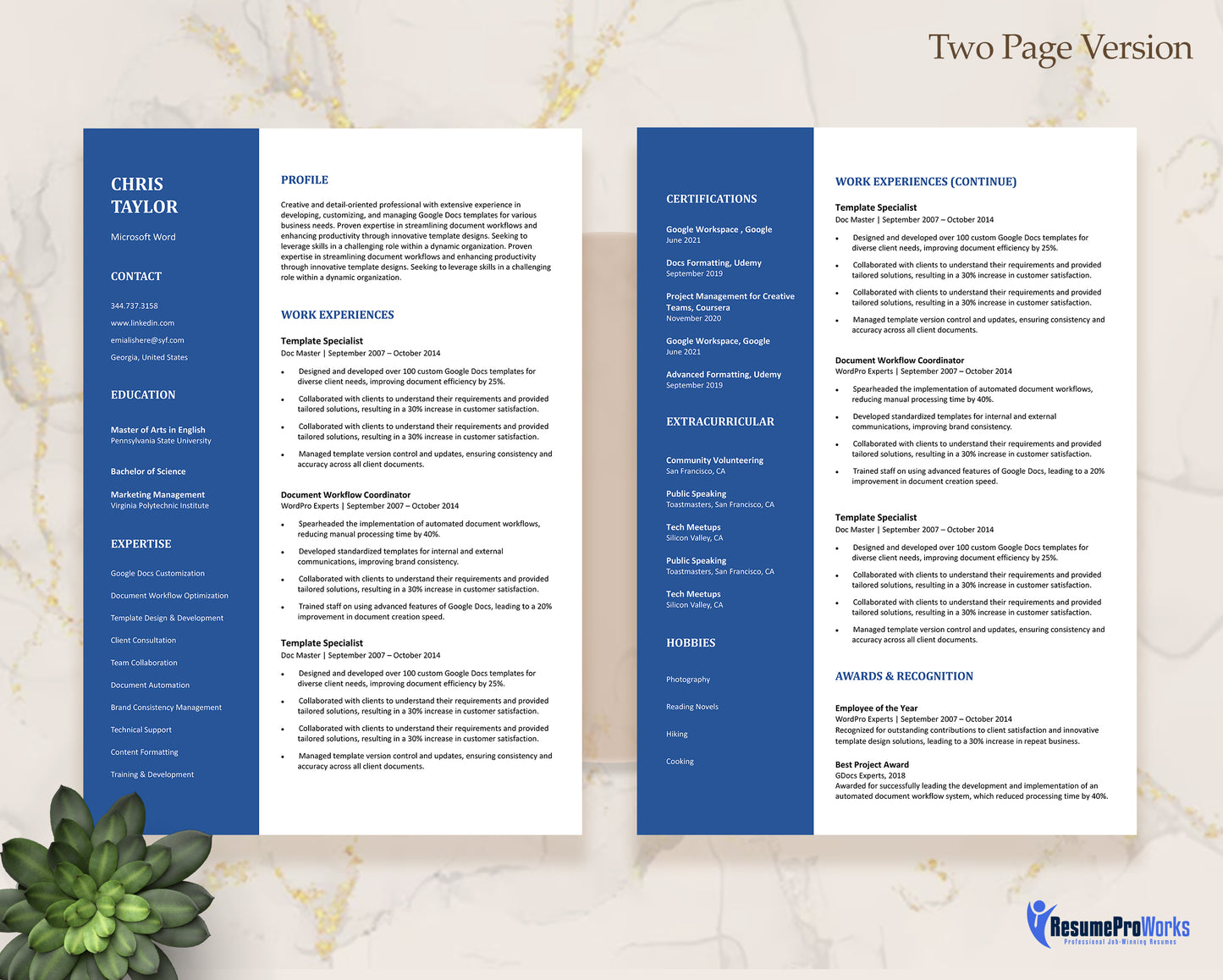 Microsoft Word Resume Template